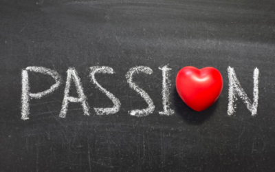 Passion to Profit | How to build a business doing what you love